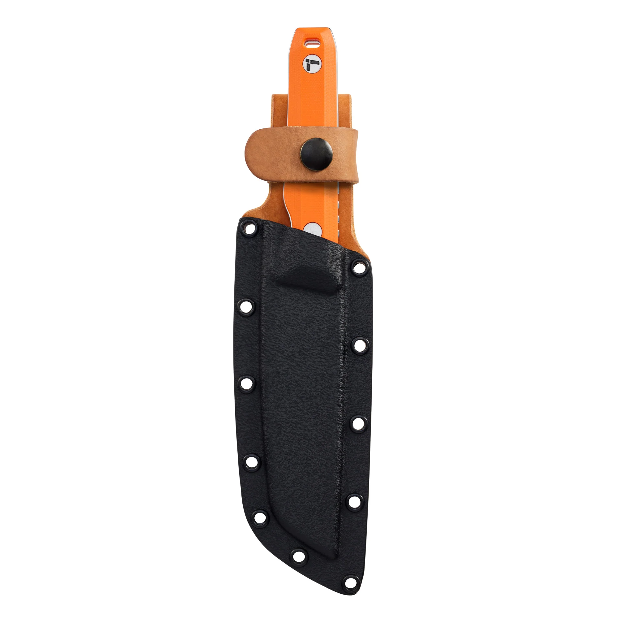 Pioneer™ - Image 4